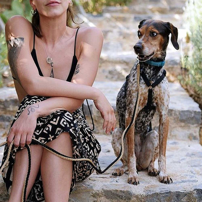 Dog Leash
