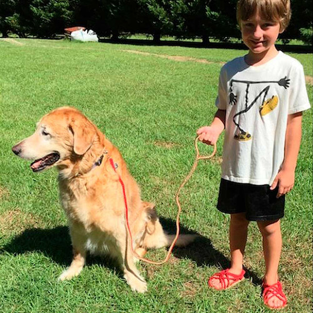 Dog Leash