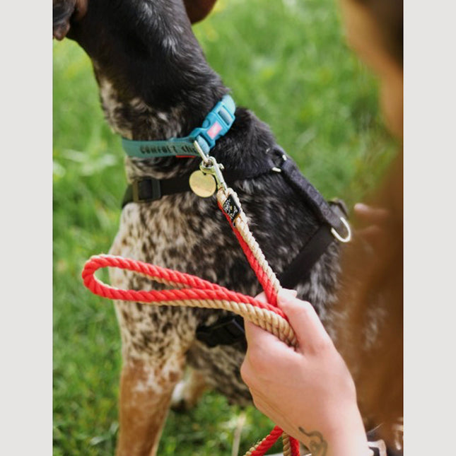 Dog Leash