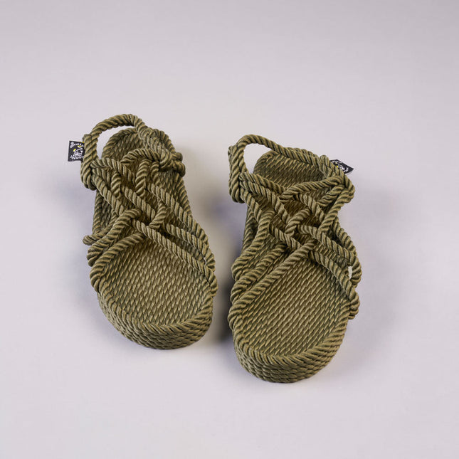 JC Plataforma Olive