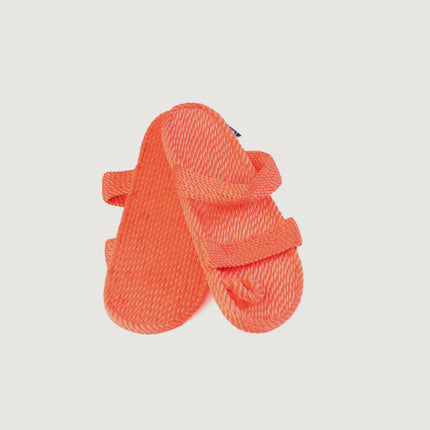 Muse Coral